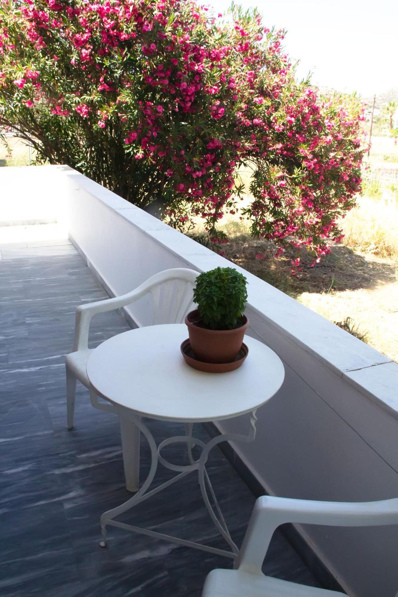 Aristidis Apartment Galissas Luaran gambar